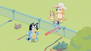 Vignette du programme télé Bluey (Le zoo) S1 (35/52)