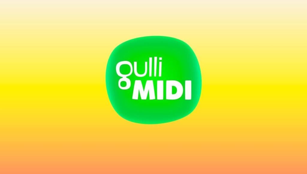 Vignette du programme télé Gulli Midi