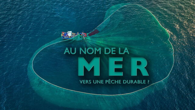 Vignette du programme télé Au nom de la mer, vers une pêche durable ?