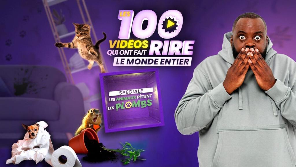 Vignette du programme télé Les 100 vidéos qui ont fait rire le monde entier