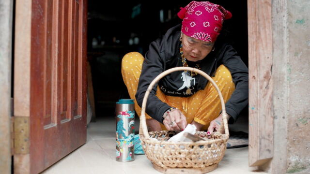 Vignette du programme télé Whang-Od, la tatoueuse centenaire
