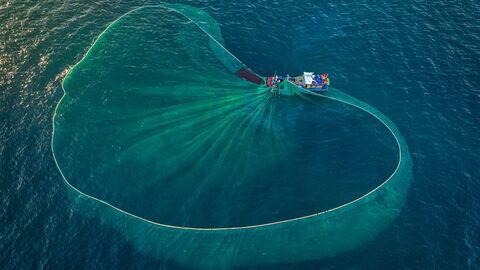 Vignette du programme télé Au nom de la mer, vers une pêche durable ?