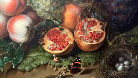 Vignette du programme télé L'art et la nature : Peintres néerlandaises du XVIIe siècle