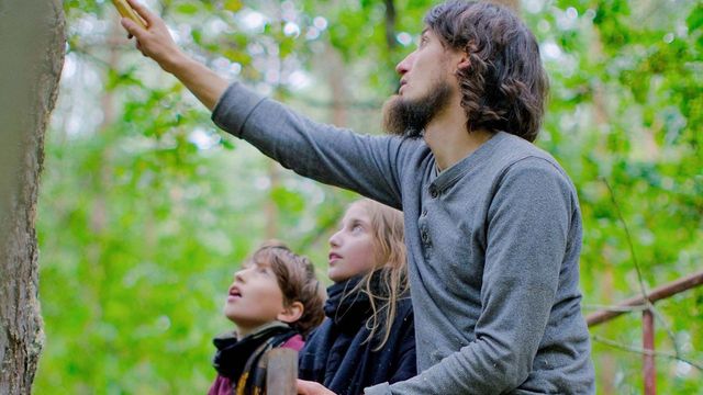 Vignette du programme télé Piotr le cueilleur de miel et les abeilles des bois