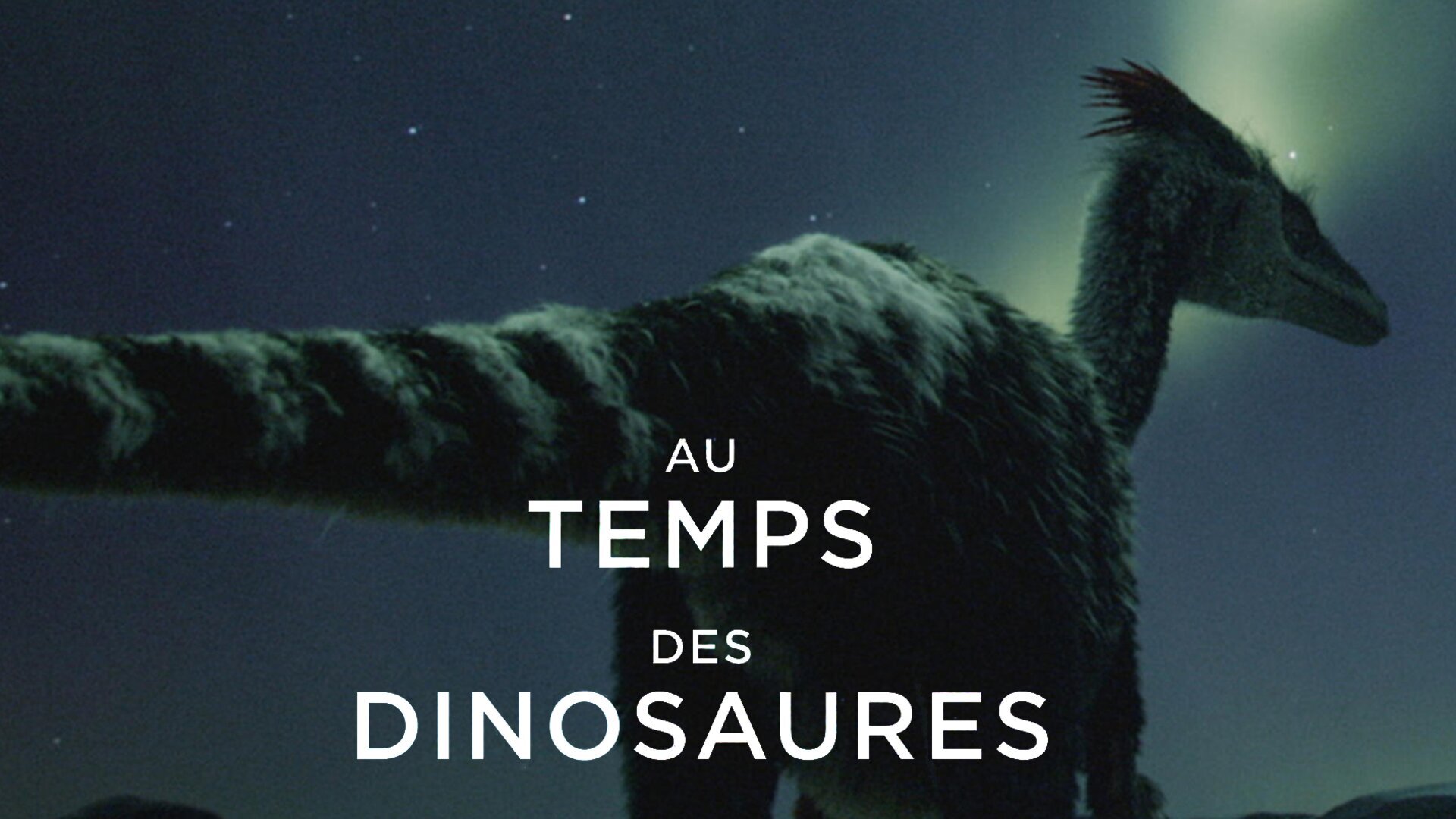 Vignette du programme télé Au temps des dinosaures