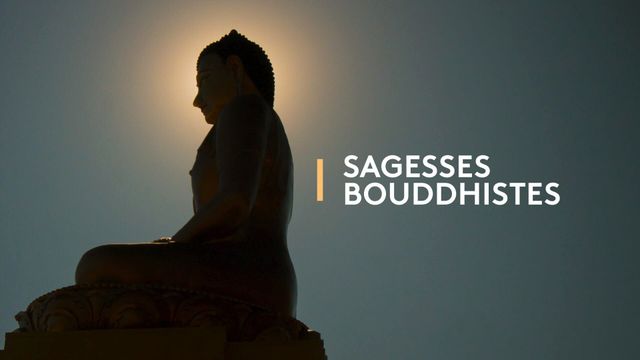 Vignette du programme télé Sagesses bouddhistes