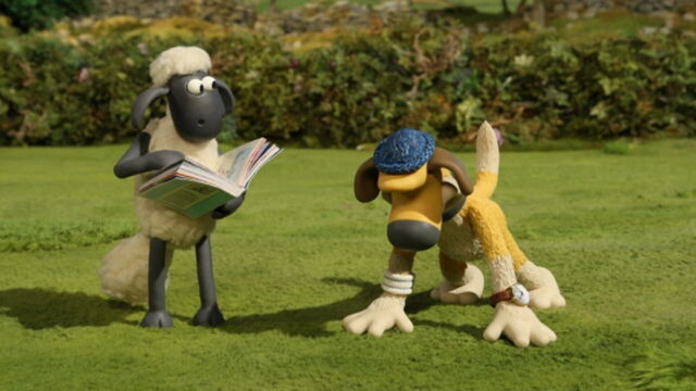 Vignette du programme télé Shaun le mouton