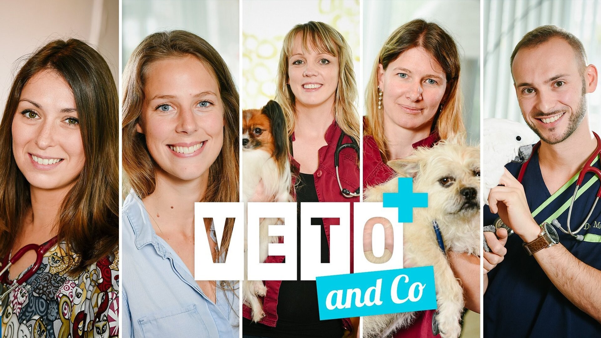 Vignette du programme télé Véto & Co