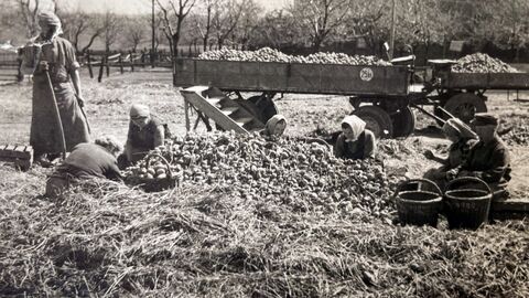 Vignette du programme télé Une histoire de l'agriculture : Collectivisation et remembrement