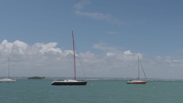 Vignette du programme télé Antilles : la mer en héritage