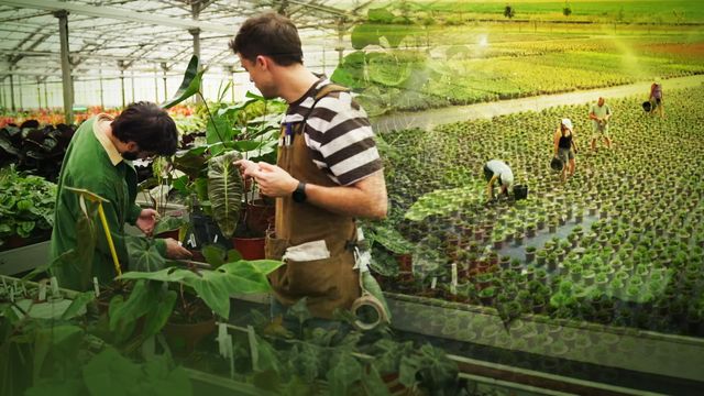Vignette du programme télé Le jardinage, ça ratisse large !