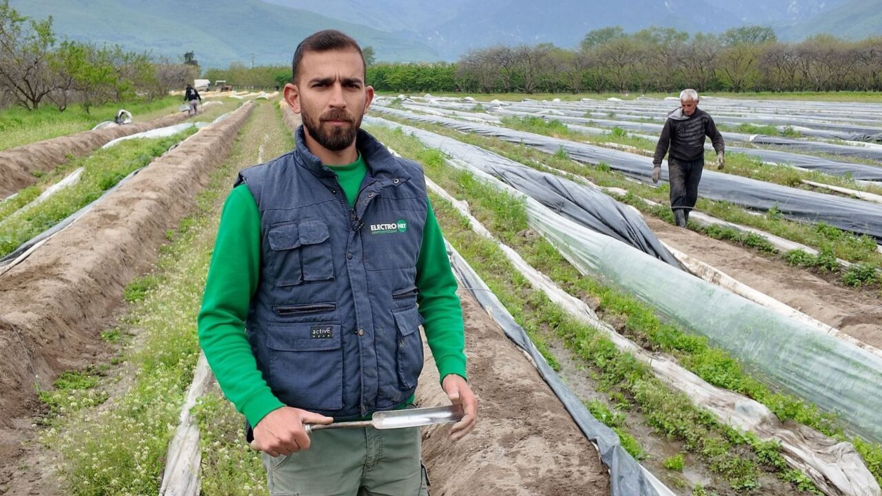 Vignette du programme télé L'asperge grecque défie la concurrence
