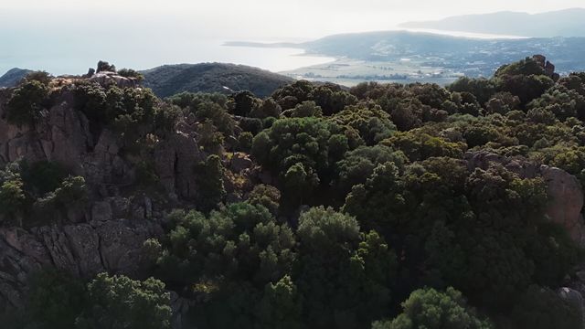 Vignette du programme télé Colonna, une tragédie corse
