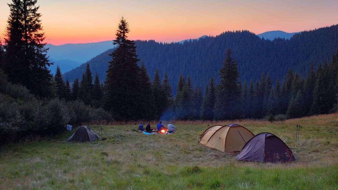 Vignette du programme télé Vive le camping
