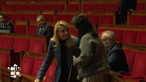 Vignette du programme télé Circo