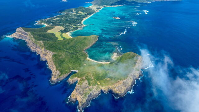 Vignette du programme télé Lord Howe, la renaissance de l'île-sanctuaire