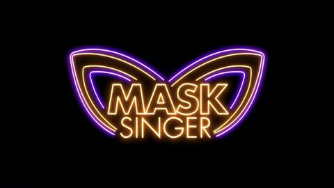 Vignette du programme télé Mask Singer