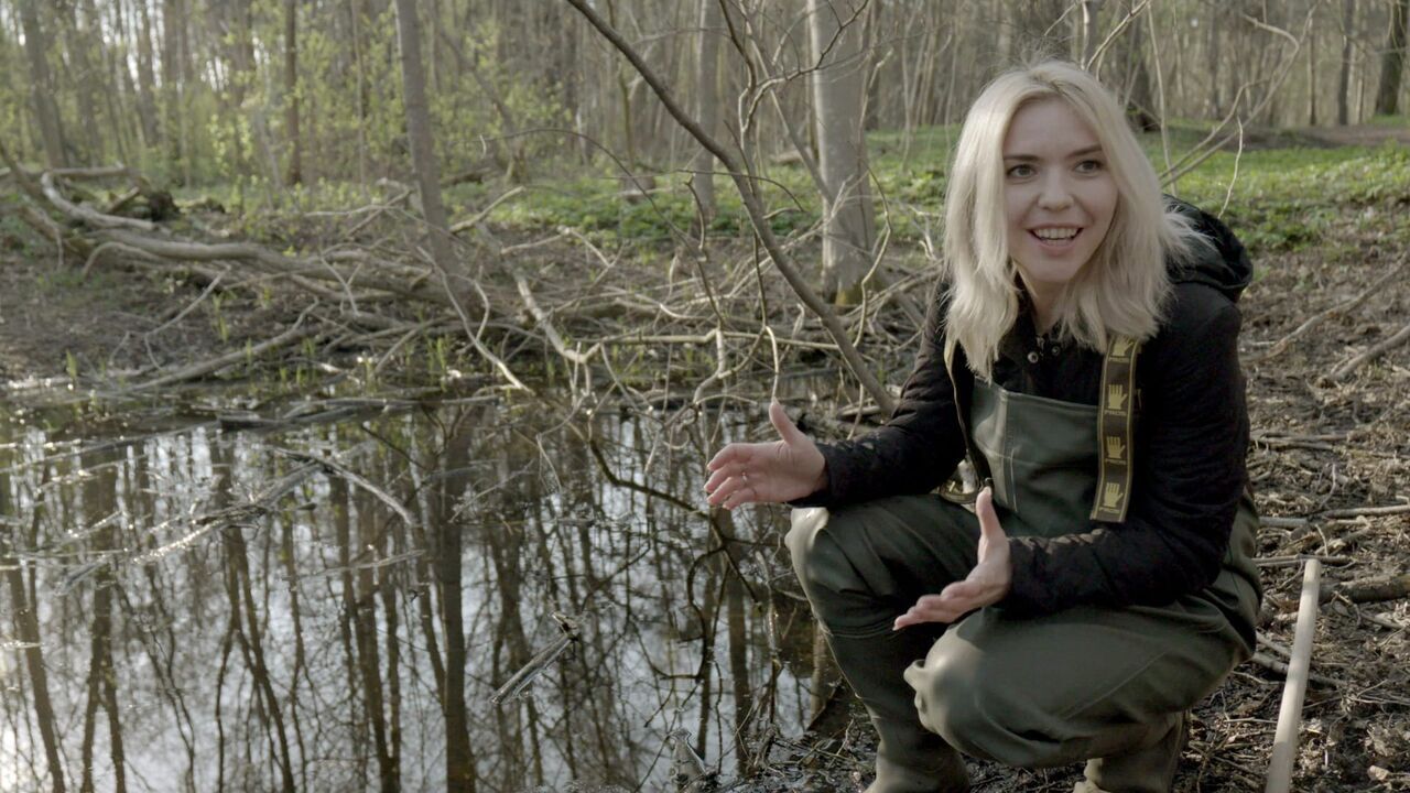 Vignette du programme télé Estonie, au secours des grenouilles