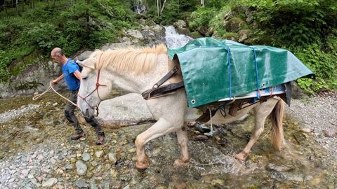 Vignette du programme télé Le mulet en montagne, une alternative