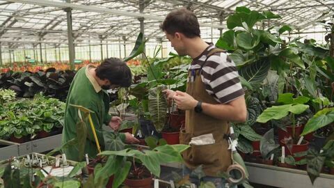 Vignette du programme télé Le jardinage, ça ratisse large !