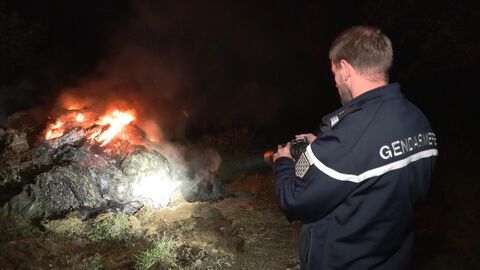 Vignette du programme télé 100 jours avec les gendarmes de Bretagne
