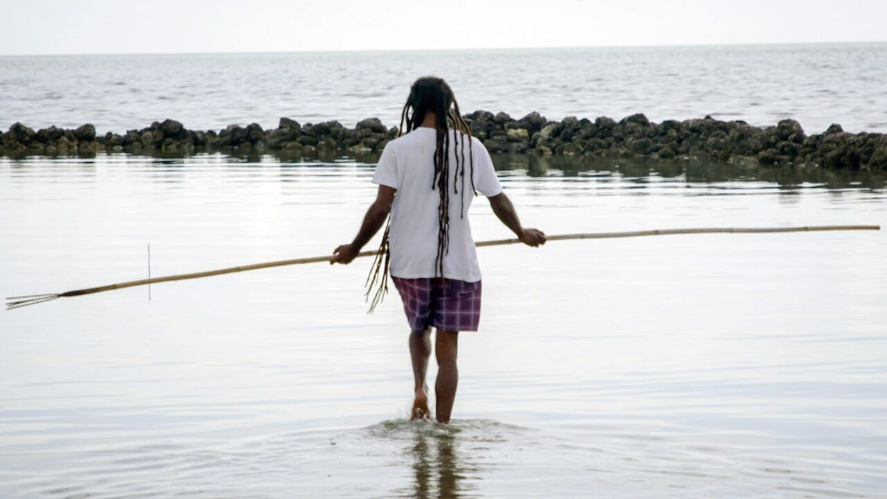 Vignette du programme télé Les îles australiennes : un paradis à découvrir