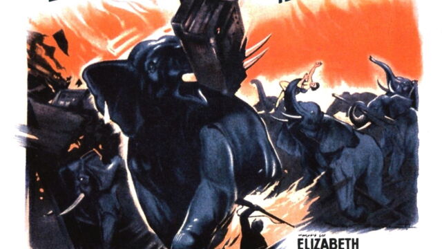 Vignette du programme télé La piste des éléphants