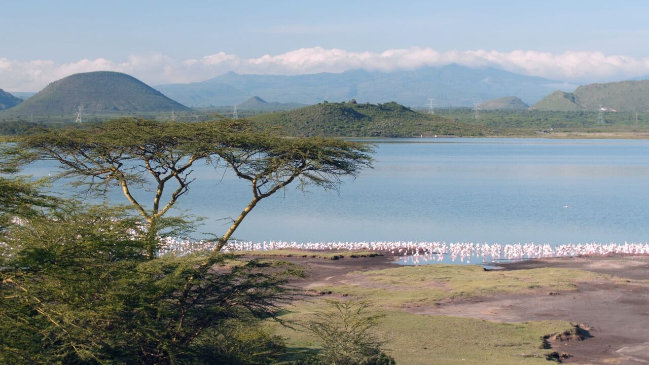 Vignette du programme télé L'Afrique vue du ciel