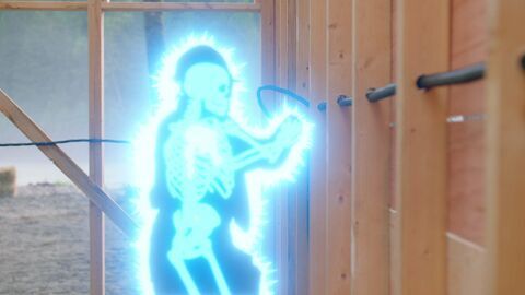Vignette du programme télé Woody Woodpecker, le film