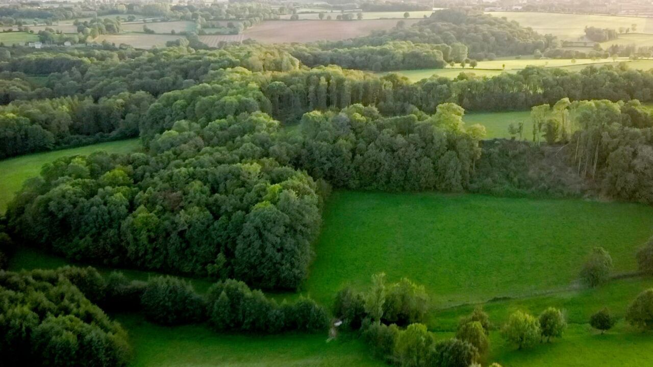 Vignette du programme télé Les promesses de la terre