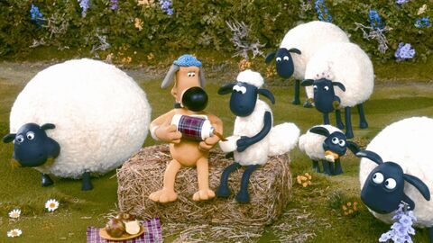 Vignette du programme télé Shaun le mouton