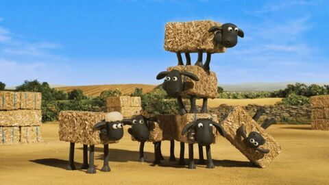 Vignette du programme télé Shaun le mouton