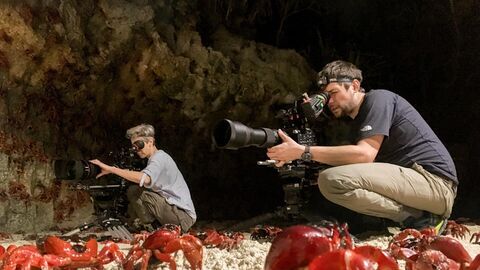 Vignette du programme télé Making of - Une planète parfaite