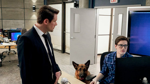 Vignette du programme télé Hudson et Rex (Un meurtre bien huilé) S1 (9/13)