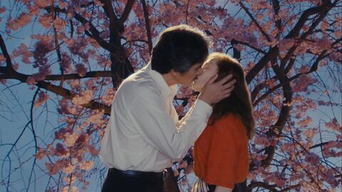 Vignette du programme télé Sidonie au Japon