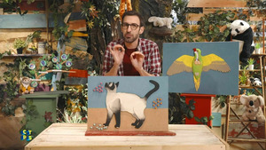 Vignette du programme télé C'est toujours pas sorcier S8