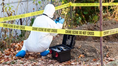 Vignette du programme télé Crimes
