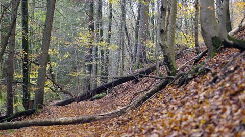 Vignette du programme télé Les promesses de la terre