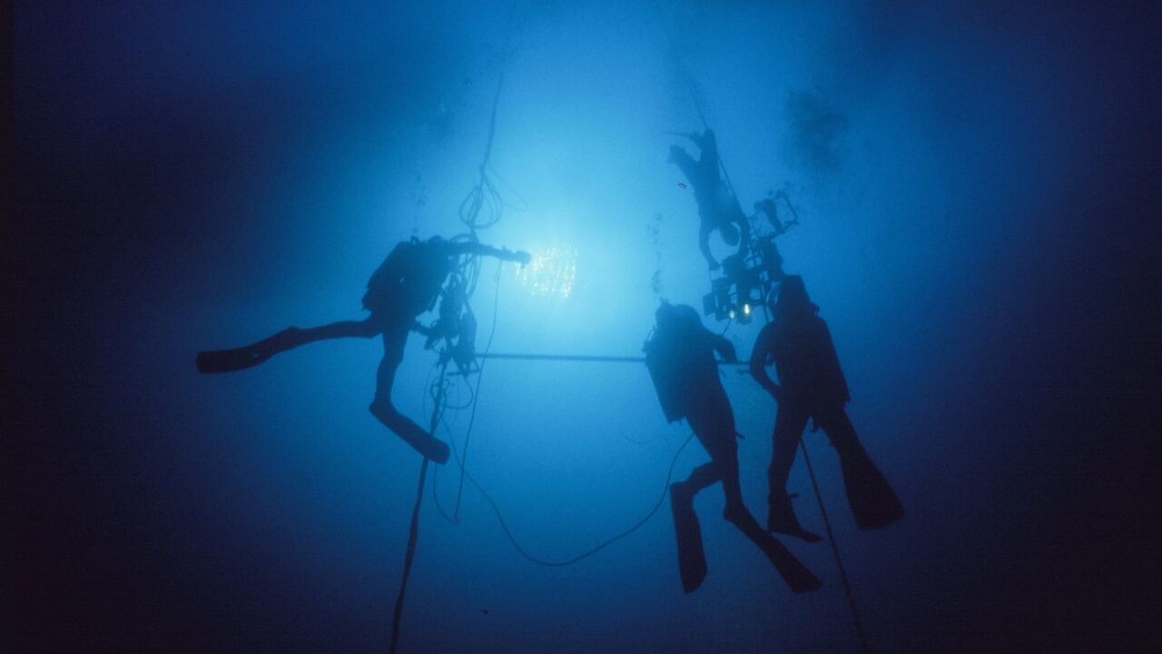 Vignette du programme télé Le grand bleu