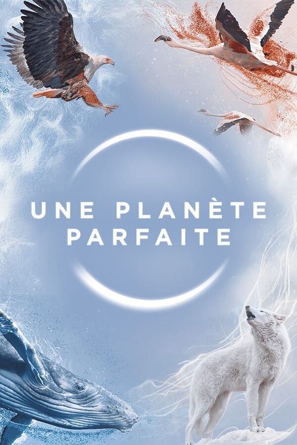 Vignette du programme télé Une planète parfaite