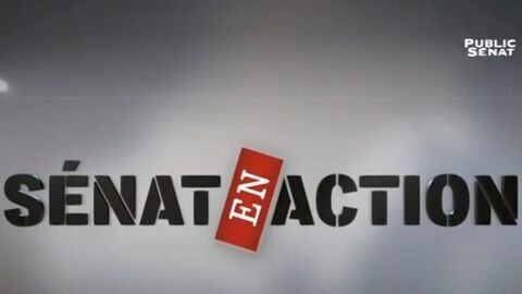 Vignette du programme télé Sénat en action
