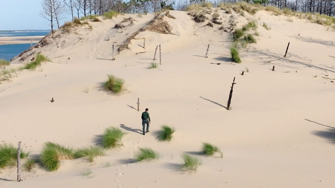 Vignette du programme télé Les promesses de la terre