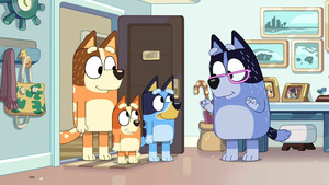 Vignette du programme télé Bluey Minisodes (Les cubes) S1 (n°10)