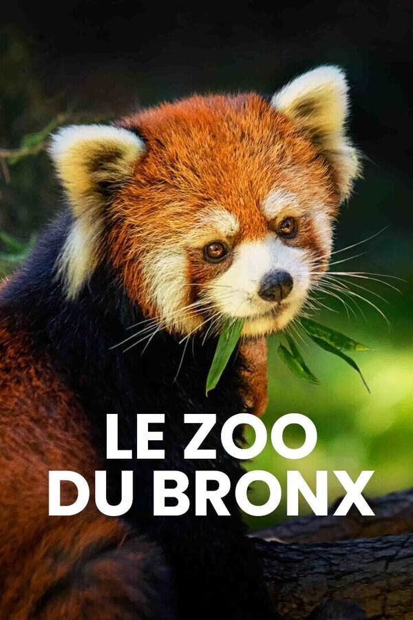 Vignette du programme télé Le zoo du Bronx