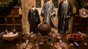 Vignette du programme télé Harry Potter : Les Sorciers de la pâtisserie S1
