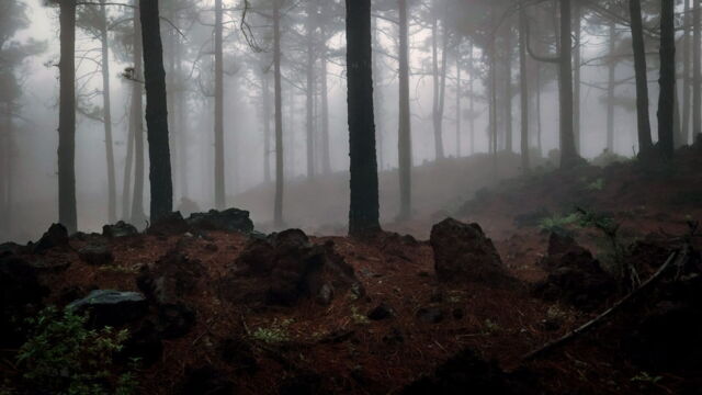 Vignette du programme télé Canaries, les îles-volcans