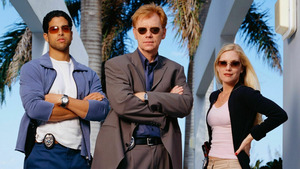 Vignette du programme télé Les experts : Miami (Piqués au vif) S10 (1/19)