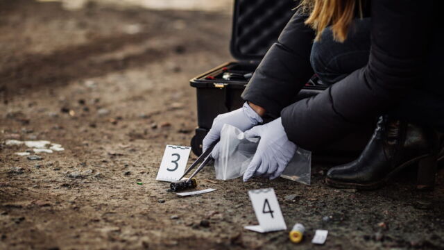 Vignette du programme télé Crimes