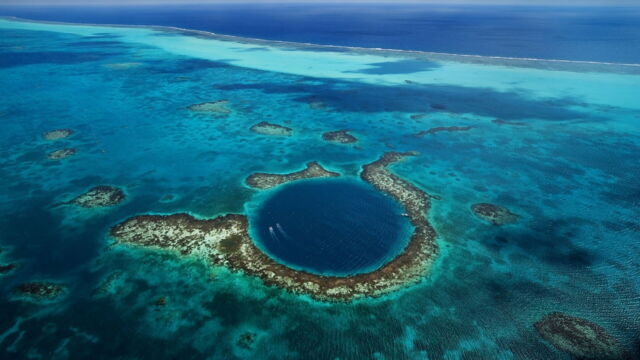 Vignette du programme télé Planète Océan
