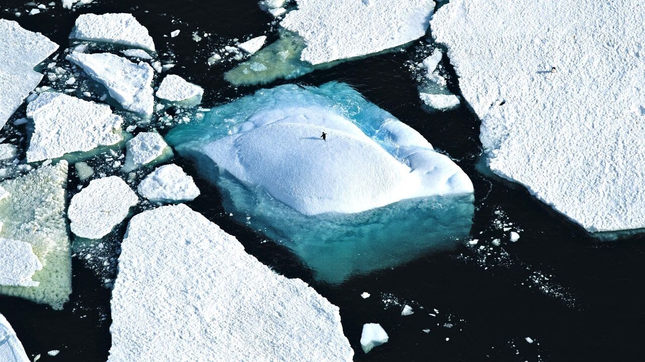 Vignette du programme télé Planète Océan